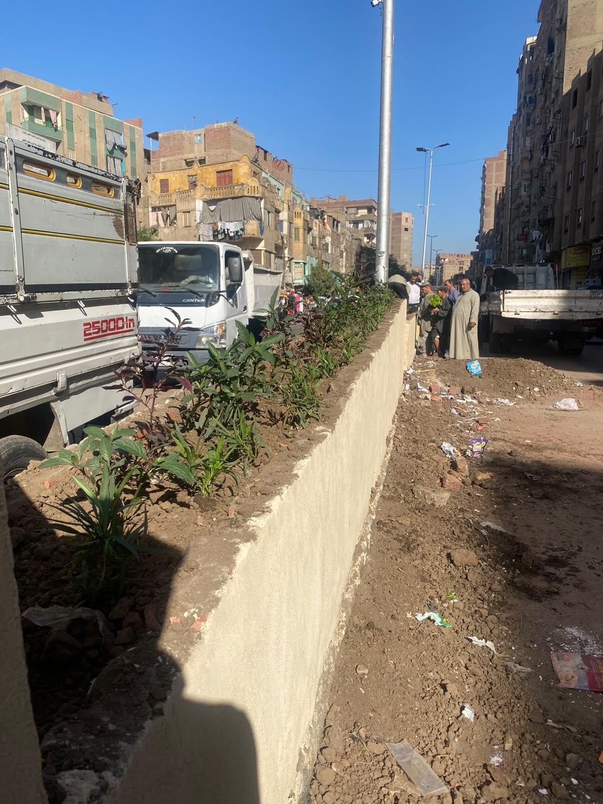جانب من زراعة أحواض الزهور جانب من زراعة أحواض الزهور
