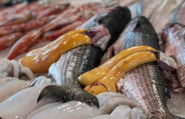 البطارخ والفوارغ في بورسعيد البطارخ والفوارغ في بورسعيد