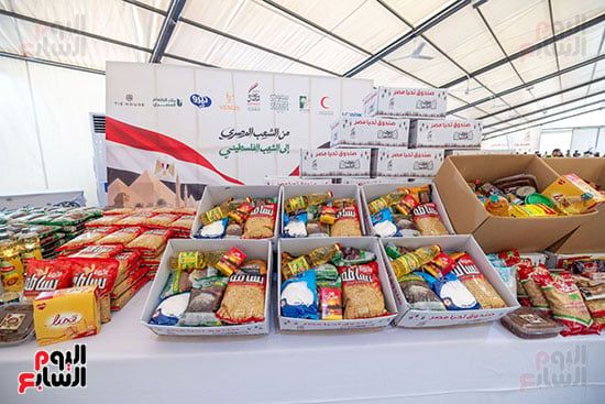 قوافل دعم غزة (10)
