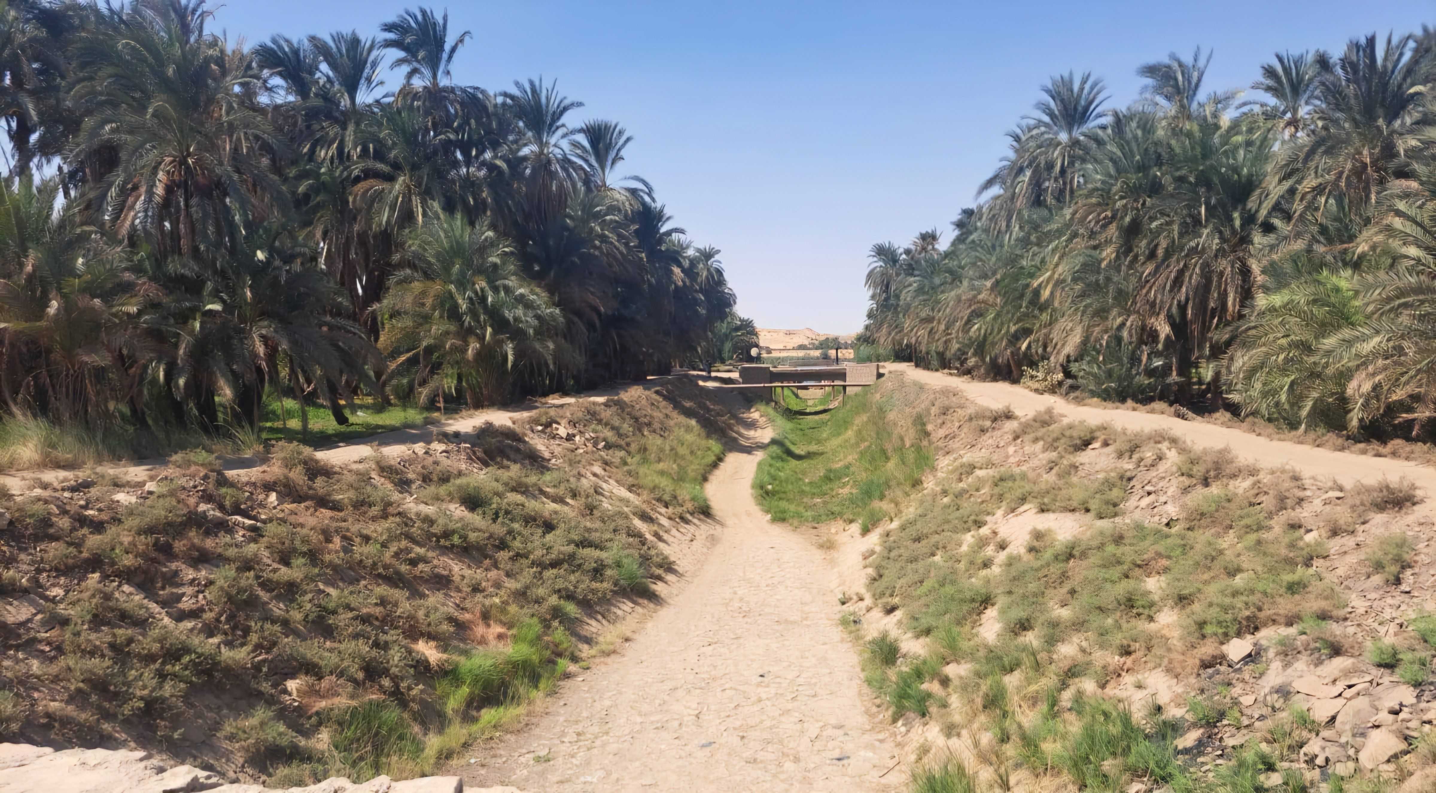 مخر سيل في أسوان مخر سيل في أسوان