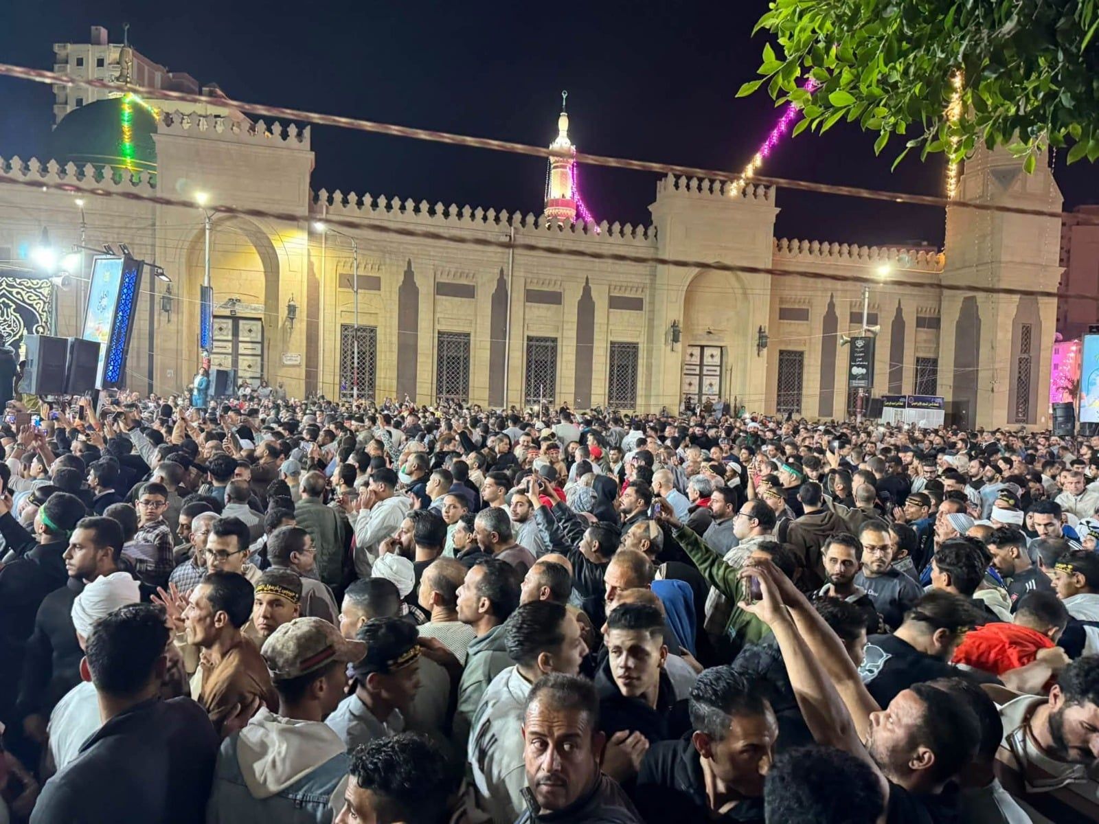 ياسين التهامي (1)