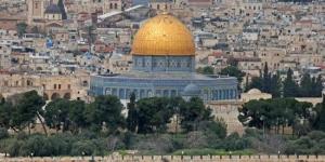 الخارجية الفلسطينية توجه سفاراتها وبعثاتها لحشد تحرك دولي ضد جرائم الاحتلال في الخليل :اليوم السابع