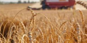 البنك المركزي: استقرار نمو الناتج المحلي خلال الربع الثالث وتسارع معدلات التضخم في سبتمبر