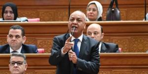 مصطفى بكري: من حق المواطن يقول إحنا عاوزين الرئيس السيسي يكمل معانا ونشوف مخرج للدستور