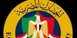 13 حالة تعد تهريبًا وفق قانون الجمارك.. تعرف عليها :اليوم السابع
