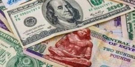 100 دولار بكام جنيه؟.. تكلفة شراء العملة الأمريكية في البنوك اليوم :اليوم السابع
