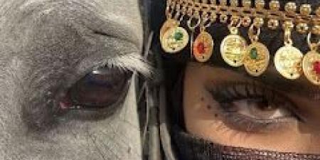 رواية فدى سكينة الفصل الحادي عشر 11 بقلم زينب سمير