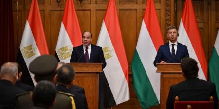 السيسي يدعو لإنهاء الصراع في قطاع غزة وتهيئة الظروف لمسار سياسي جاد