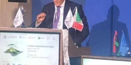 رئيس الهيئة العامة للاستثمار: مصر تمثل شريكا استثماريا استراتيجيا ومركزا للإنتاج والتصدير