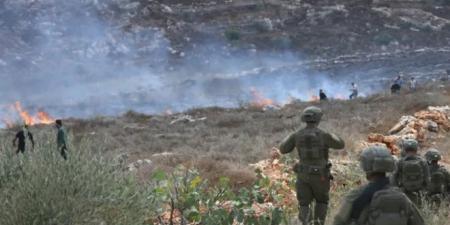 الضفة.. إصابة فلسطيني واعتقال اثنين في اعتداءات إسرائيلية على قاطفي زيتون
