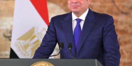 الرئيس السيسي يعود إلى أرض الوطن عقب زيارة رسمية إلى روسيا والمجر