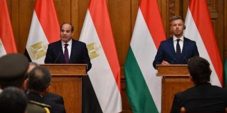 فخامة الرئيس السيسى: أمن الشرق الأوسط لا ينفصل عن أمن أوروبا ولا سلام مستدام دون تسوية عادلة لقضية فلسطين :اليوم السابع