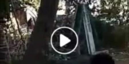 خلافات على ميراث حظيرة ماشية تقود شخصاً للتعدي على قريبه بالمنوفية :اليوم السابع