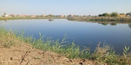 تحقيقات سقوط طفلة داخل مصرف صرف صحي.. انزلقت أثناء اللهو على الحافة :اليوم السابع