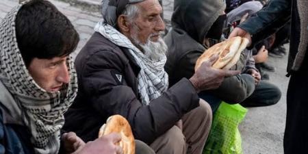 اللجنة المصرية في غزة: مصر توزع مليون رغيف خبز يوميا على أهالي القطاع
