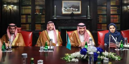 نائب وزير الخارجية يلتقي مساعد وزير الخارجية الأمريكي