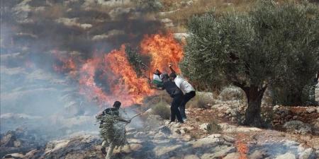 تقرير مصور | تصعيد اعتداءات الاحتلال في الضفة الغربية المحتلة