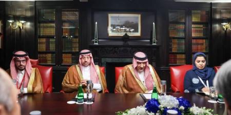 نائب وزير الخارجية يلتقي مساعد الأمين العام لرئيس مجلس الوزراء نائب مستشار الأمن القومي الياباني