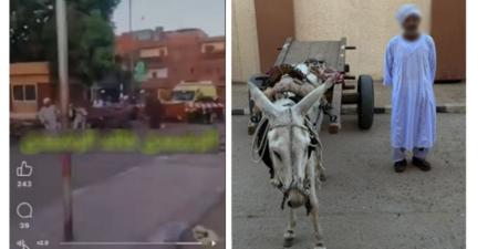 الداخلية تضبط سائق «كارو» تسبب في توقف قطار عقب عبوره مزلقاناً مغلقاً بأسوان