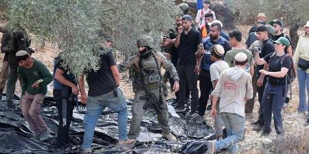 وزير فلسطيني: اعتداءات الاحتلال على أشجار الزيتون تمثل استهدافا للذاكرة والوجود الفلسطيني