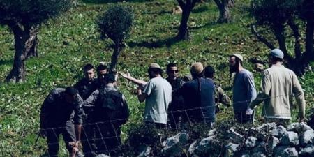 مستوطنون يعتدون على قاطفي الزيتون في قرية مراح رباح جنوب بيت لحم