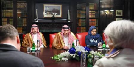 نائب وزير الخارجية يلتقي المبعوثة الخاصة للاتحاد الأوروبي للقرن الأفريقي