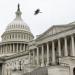 انتخابات الكونجرس الأمريكي.. كيف يمكن أن يؤثر تصويت المستقلين بالسلب على فرص الجمهوريين؟