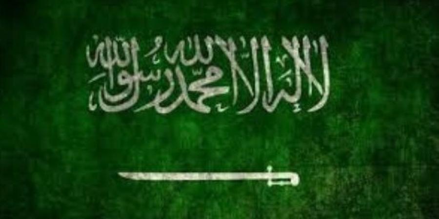 السعودية والكويت تؤكدان تضامنهما في مواجهة كل ما من شأنه المساس بأمنهما :اليوم السابع