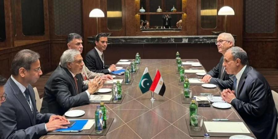 عبدالعاطي ودار يبحثان تعزيز التعاون المصري الباكستاني وخفض التصعيد الإقليمي