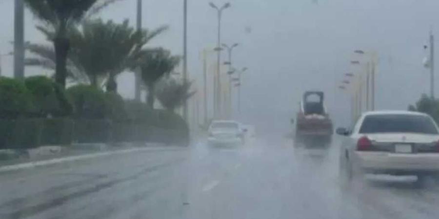حالة الطقس غدًا.. أجواء خريفية وفرص سقوط أمطار على هذه مناطق