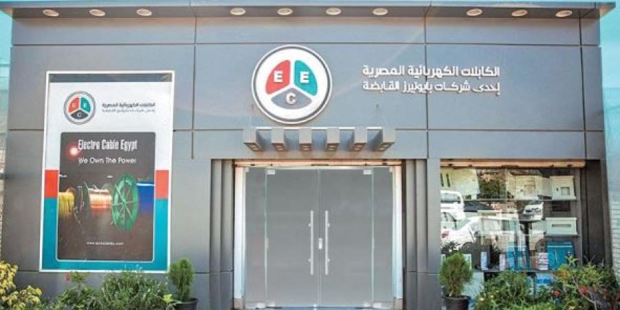 أرباح بيع أرض قلصت خسائر الكابلات الكهربائية.. والرقابة المالية تحذر من تدهور الربح التشغيلي
