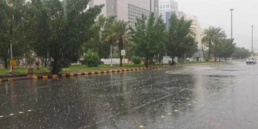 تساقط أمطار خفيفة على مصيف بلطيم والبرلس في كفر الشيخ