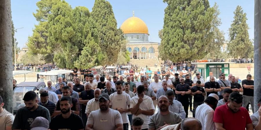 صورة: الاحتلال يعتقل خطيب المسجد الأقصى الشيخ خالد أبو جمعة