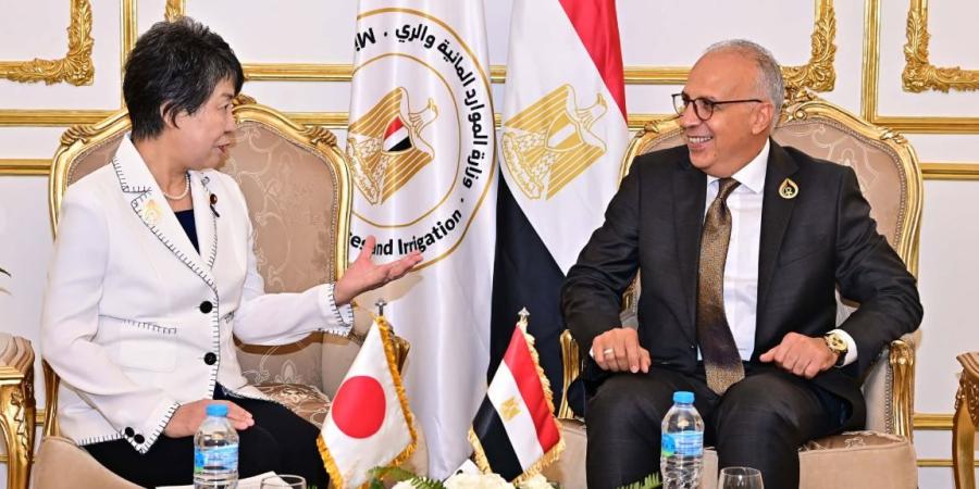 وزير الري يبحث مع مسئولة يابانية توظيف الذكاء الاصطناعي في واجهة التحديات المناخية