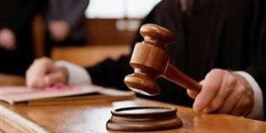 "جنايات المنيا" تقضي بالسجن المؤبد على قاتل زوجته بوضع عقاقير داخل الطعام :اليوم السابع