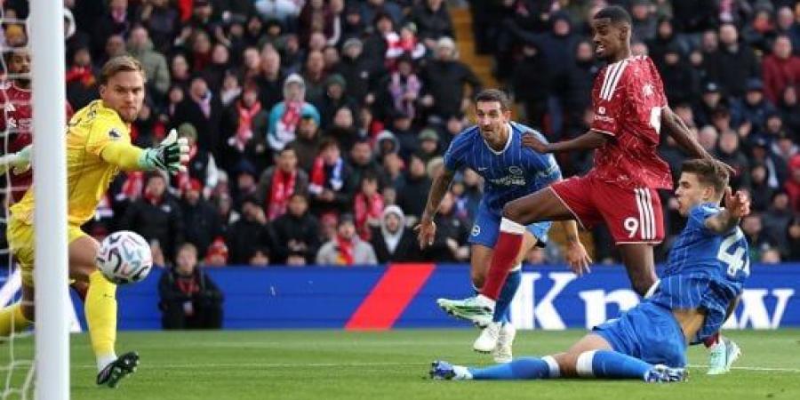 ليفربول يعبر برايتون بثنائية فى الدورى الإنجليزى (فيديو) :اليوم السابع