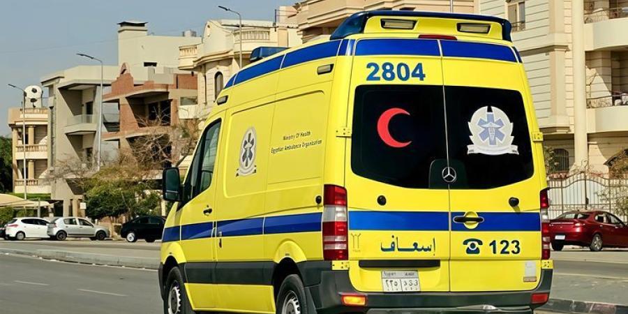 .محافظ المنيا يوجه بتوفير الرعاية الطبية اللازمة لمصابي حادثي طريق الجيش وتيسير إجراءات أسر المتوفين