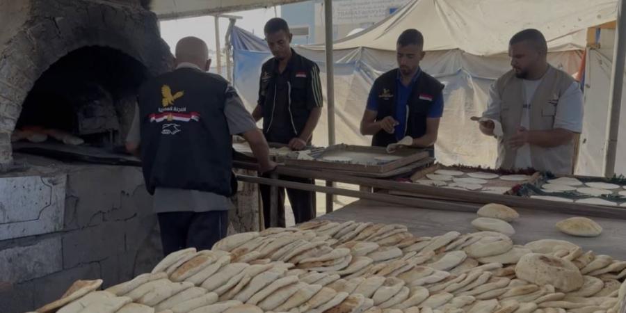 اللجنة المصرية بغزة: نواصل جهودنا لتشغيل المخابز وتوزيع المساعدات رغم التحديات