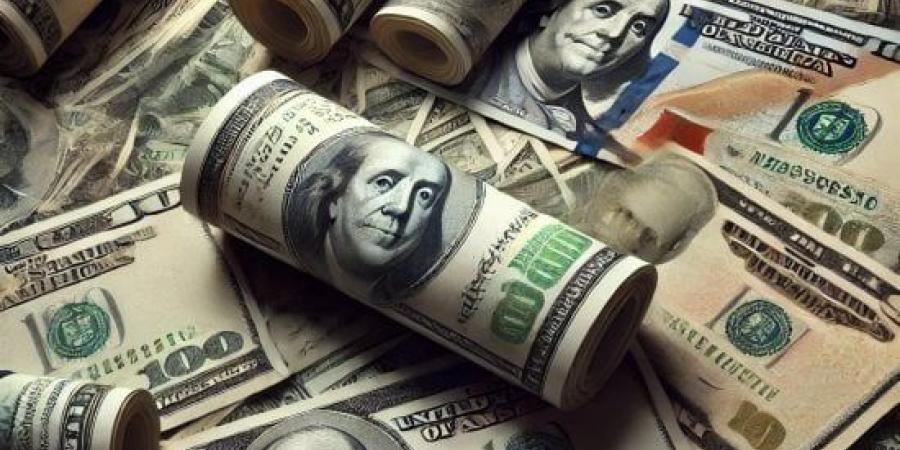 استقرار سعر الدولار عند 55.24 جنيه للشراء في البنك المركزي