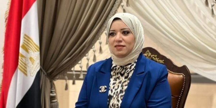 رئيس إعلام النواب: "دولة المواهب" وتطوير قصور استثمار حقيقى فى شباب مصر :اليوم السابع