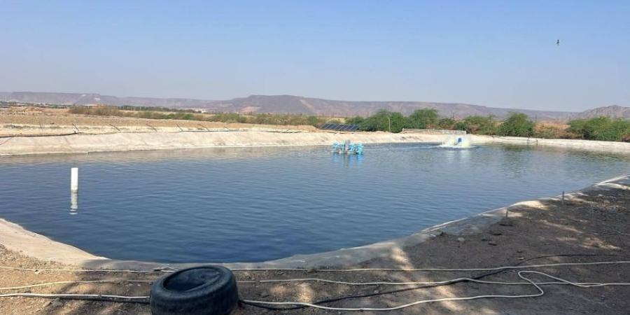 جولات رقابية لبيئة مكة على أسواق النفع العام ومزارع الاستزراع السمكي