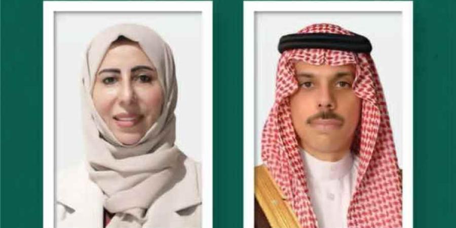 السعودية واليمن تبحثان مستجدات الأوضاع والاعتداءات الحوثية على المدنيين