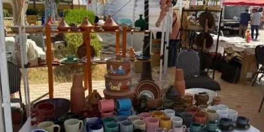 محافظ الغربية يشيد بمشاركة وحدة «أيادي مصر» في مهرجان الشرقية للخيول العربية الأصيلة