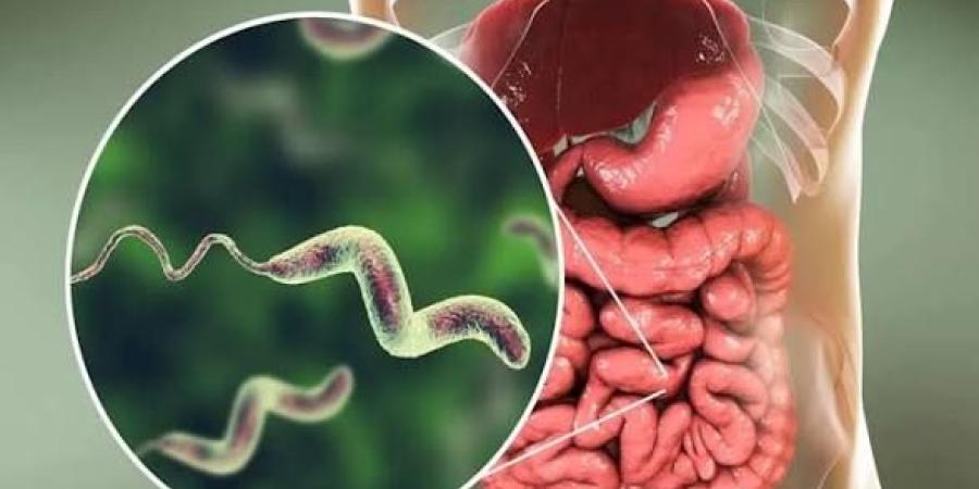 جرثومة المعدة لا تستجيب للعلاج.. 5 أخطاء قد تقلل فرص الشفاء