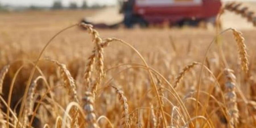 البنك المركزي: استقرار نمو الناتج المحلي خلال الربع الثالث وتسارع معدلات التضخم في سبتمبر
