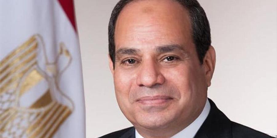 الرئيس السيسي يصل إلى بودابست في مستهل زيارة رسمية إلى المجر