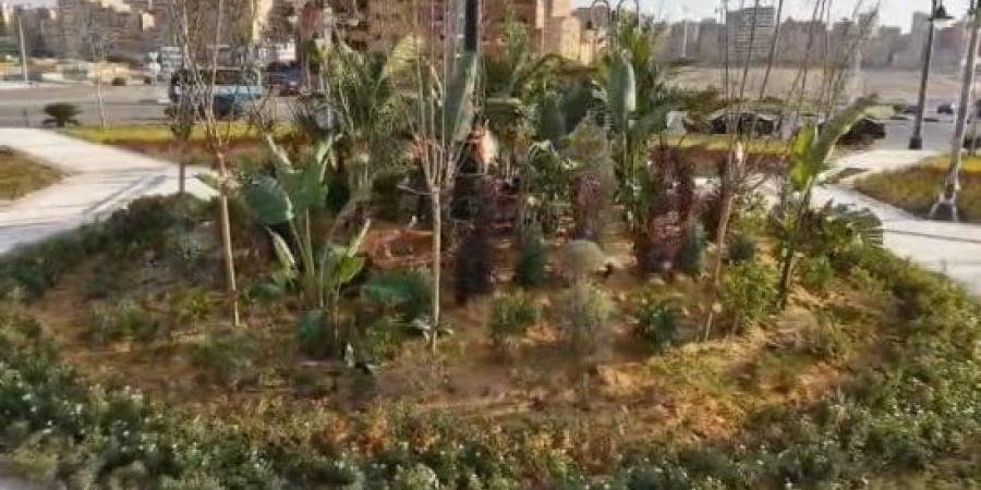 محافظ القاهرة: دعم مجتمعى لمبادرة فخامة الرئيس السيسى لتخضير القاهرة :اليوم السابع