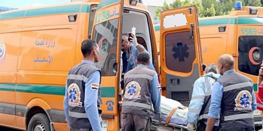 التحقيق في حادث تصادم سيارة ميني باص بالرصيف وإصابة سيدتين برمسيس