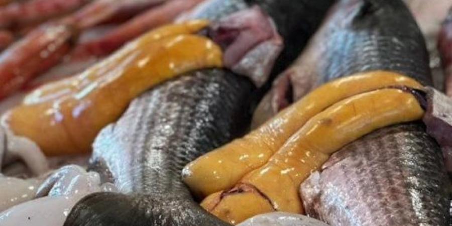 موسم الأكلات الخريفية.. الأسماك المبطرخة والزلابية أطباق دافئة على موائد الأسر فى بورسعيد.. صور :اليوم السابع