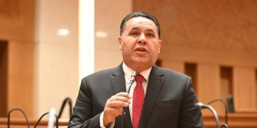 نائب: مشاركة فخامة الرئيس السيسى بالقمة الروسية الأفريقية تفتح آفاقًا للتعاون :اليوم السابع